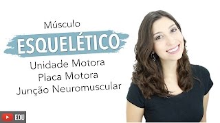 Músculo Esquelético 56 Unidade Motora Placa Motora e Junção Neuromuscular  Anatomia e etc [upl. by Seppala]