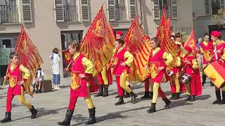 Benedizione del Cavallo Nizza Monferrato  Palio di Asti 2024 [upl. by Aizahs]