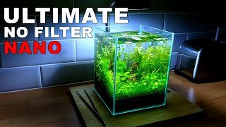 ULTIMATE NANO Aquarium How To 2 Gallon Fish Tank  No Filter No Heater No Ferts No co2 [upl. by Flynn419]