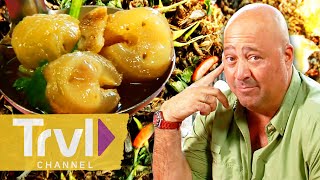 UNFORGETTABLE Meals from Seasons 2 amp 3  Bizarre Foods with Andrew Zimmern  Travel Channel [upl. by Nonaihr]