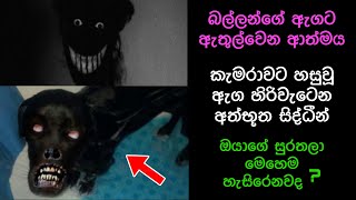 කැමරාවට හසුවූ හොල්මන් Part 20 Paranormal Activity kazzai holmanscience  Education [upl. by Claude]