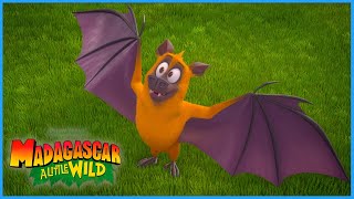 Visiting a spooky friend 🦇  Halloween Special 🎃  A Little Wild  DreamWorks Madagascar [upl. by Asoral823]