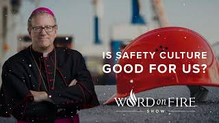 Is Safety Culture Good for Us  Bishop Robert Barron new [upl. by Trevar]