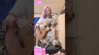 2024年11月1日 ギター練習ガットギター Guitar Practice  Classical Guitar Spanish Romance ♩120 [upl. by Germaun]