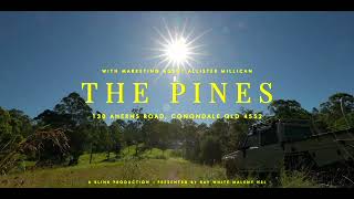 quotThe Pinesquot 130 Aherns Road Conondale QLD  Where Dreams Meet Reality Amidst Natures Grandeur [upl. by Rutan]