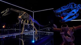 Roaring into the past Denmarks first dinosaur museum unveils evolutionary wonder [upl. by Noble]