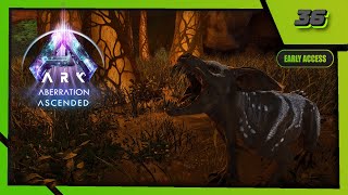 ARK Survival Ascended №36 — Первый хищник [upl. by Llemor871]