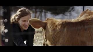 Red Cow  Official Trailer [upl. by Alam]