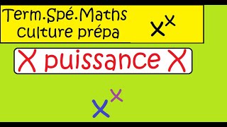 Terminale Spé Maths X puissance X exponentielle de base a Etude limite dérivée [upl. by Nussbaum]