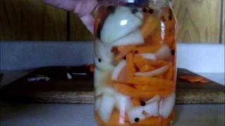 Spicy Pickled Carrots [upl. by Nilak634]