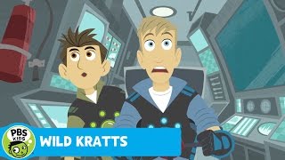 WILD KRATTS  Goblin Shark  PBS KIDS [upl. by Neztnaj]