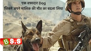 A Story Of DOG Max Movie ReviewPlot In Hindi amp Urdu [upl. by Raseda]