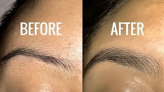 How To Grow Your Eyebrows [upl. by Oirevas]