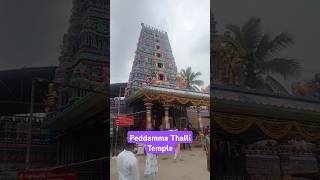 Sri Peddamma Thalli Temple Jubilee Hills bonalu bonalusong v6songs [upl. by Sumahs]