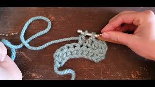 HOW TO Crochet Half Double Crochet 2 Stitches together [upl. by Hoehne]