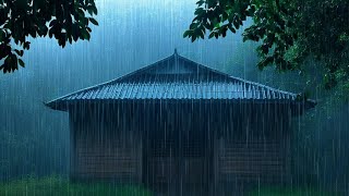 Soft Rainfall for Relaxation – Deep Sleep and Calm Meditation with Natural Rain Sounds [upl. by Chaffee]