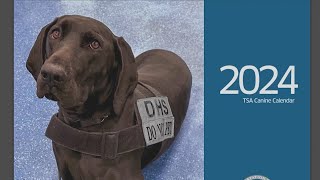 The Pawfect gift TSA releases 2024 canine calendar [upl. by Aspa461]