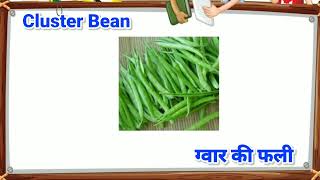 Vegetables name 100 Vegetables names in english with Hindi translation Part 4 सब्ज़ियों के नाम [upl. by Araem]