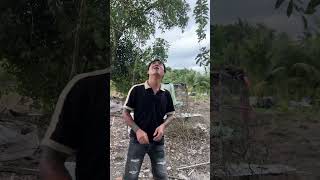 Chắc là do ăn ở sorts videogiaitri [upl. by Alysa]