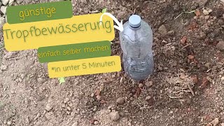 Tropfbewässerung mit PETFlaschen I Wasser und Zeit sparen beim gießen [upl. by Claudian943]