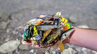 I found a 140 worth of free fishing lures [upl. by Inga]