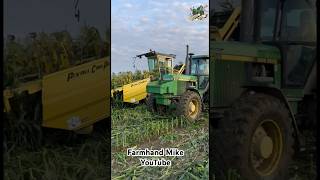 Picking Sweet Corn near Columbiana Ohio [upl. by Mehs258]