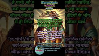 Bhagvad Geeta Chapter 3 Verse 16 bhagvadgeetha oneminutegeeta shreemadbhagvadgeeta shorts [upl. by Airret]