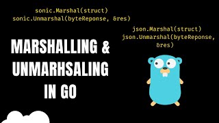 Go Efficient Marshalling amp Unmarshalling  SONIC  JSON [upl. by Akihdar]