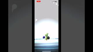 Evolving Roselia Shiny to Roserade Shiny  Pokémon Go [upl. by Llerehs]