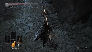 DARK SOULS III black knight 0 greatsword vs midir [upl. by Enrico]