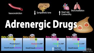 Adrenergic Drugs  Pharmacology Animation [upl. by Ahsuoj]