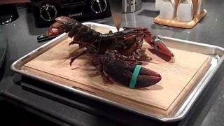 The Lobster Slaughter Affair by Chef Michael [upl. by Mott]