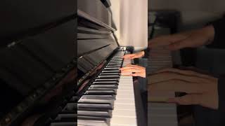 Passacaglia  Handel Halvorsen  Soft Piano Cover [upl. by Anale80]