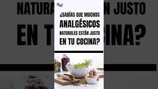 ¿Sabias que Existen ANALGÉSICOS en tu cocina y no lo sabes [upl. by Peace]