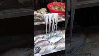 Fish market in Coxs Bazar [upl. by Vassaux]