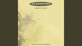 Your Love Is Crazy feat David Syon Radio Version [upl. by Aserehc]