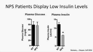 “Human Genetics Aided Discovery of a New Metabolic Hormone” by Atul Chopra MD PhD [upl. by Ahsii]