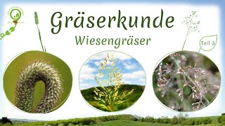 Gräserkunde Teil 3 10 weitere häufige Wiesengräser bestimmen  Bestimmungsmerkmale  Kurzinfos [upl. by Wyler381]