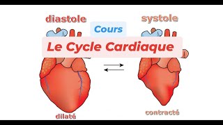 LE CYCLE CARDIAQUE [upl. by Gregor]