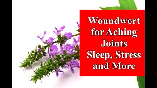 Woundwort for Aching Joints Sleep Stress and More [upl. by Cavill]