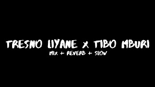 Tresno Liyane x Tibo Mburi  Mix  Reverb  Slow  CIDRO BARENG🎧 [upl. by Ofella869]