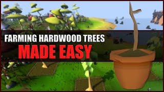 Quick Guide to Farming Hardwood Trees in OSRS [upl. by Jaffe]