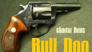 Charter Arms Bull Dog 44 Special [upl. by Millie]