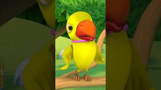 Main Tota Hare Rang Ka Parrots Rhyme मैं तोता मैं तोता shorts hindishorts birdslover preschool [upl. by Yelkreb]