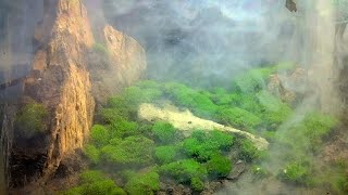 The Foggy Mountain terrarium By RiOGoTFiSh  Eco Terrarium [upl. by Virgel985]