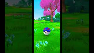 Sneasel first encounter foryou pokemon fypage shinypokemon shiningpokemon pokemongo fyp [upl. by Leirud]