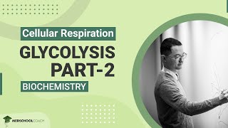 Glycolysis Part 2 [upl. by Anahsed]