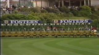 1989 MVRC W S Cox Plate [upl. by Skantze]