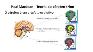 Introdução ao Biocentrismo [upl. by Yrtua]