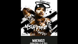 MakhadziJealous Down Video Lyrics Feat Dr Skaro [upl. by Hedges]